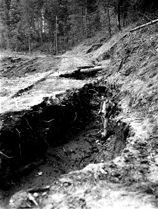 umpqua-nf---1964-storm-damage-12-23-1964-4jpg_49385668591_o