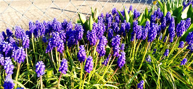 IMG_20210423_181126