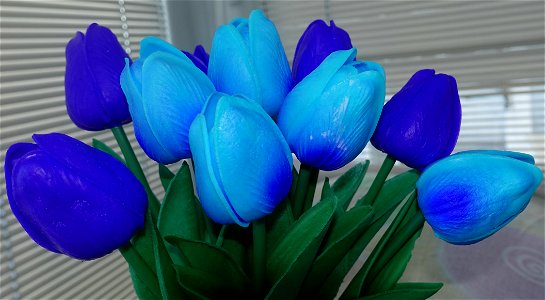tulips_lalele-2023_0227_202858