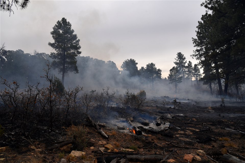 Ray Mesa Prescribed Burn Fall 2021