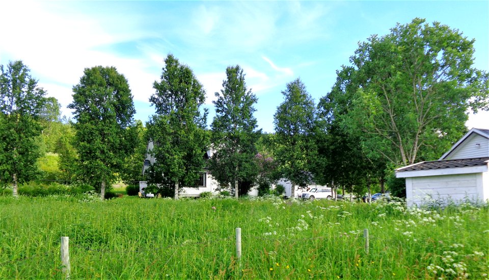 DSC09070b