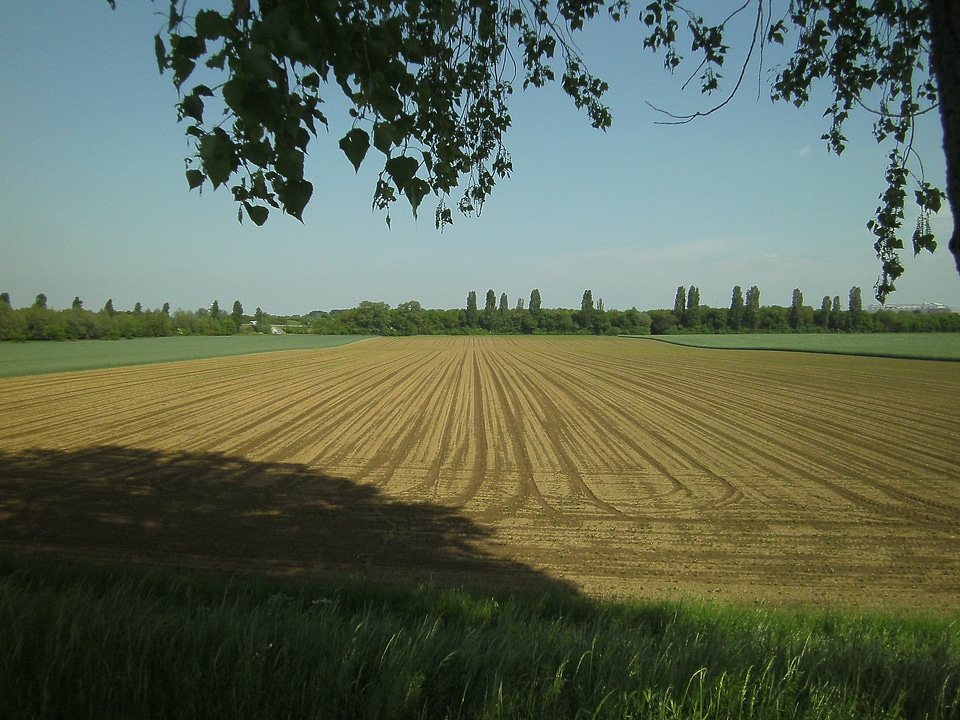 Nature wide agriculture