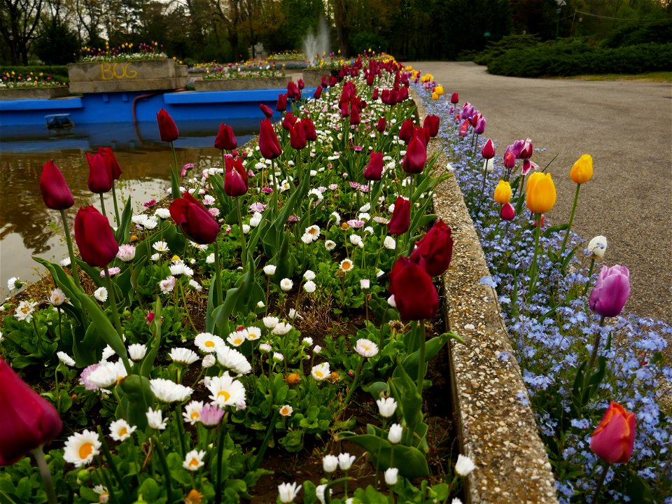 Herestrau Park in spring (92)