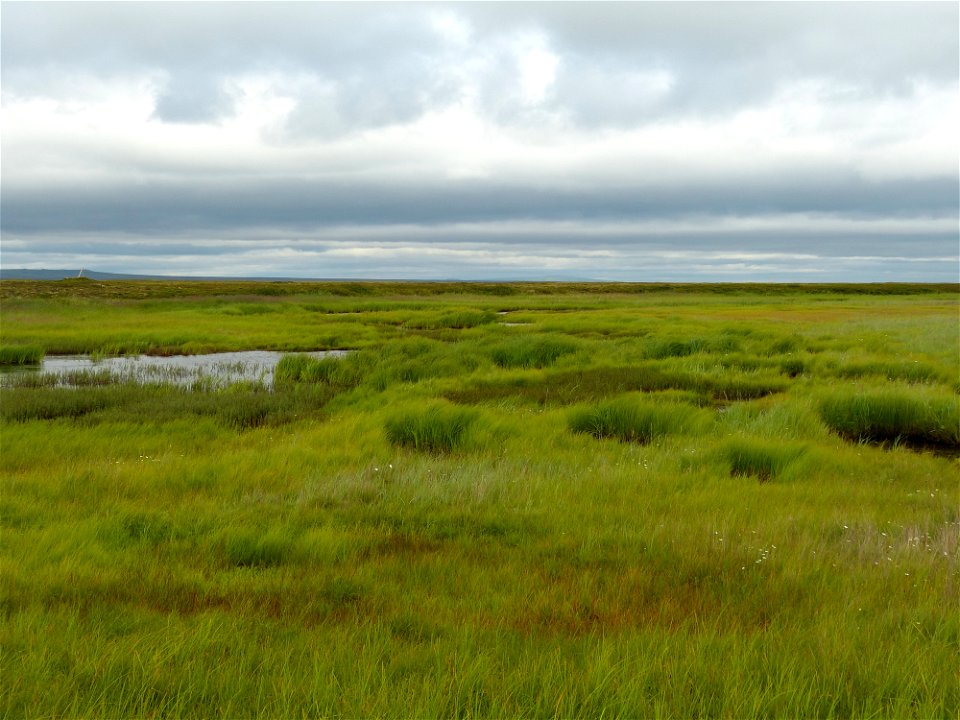 Old Chevak wetlands photo