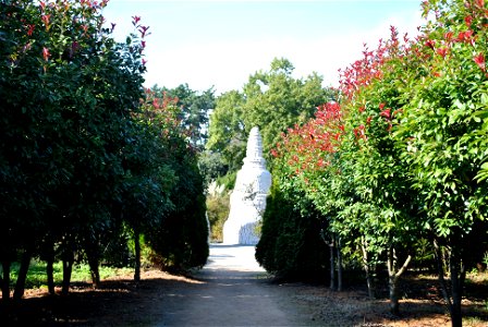 Cheongsan Arboretum photo