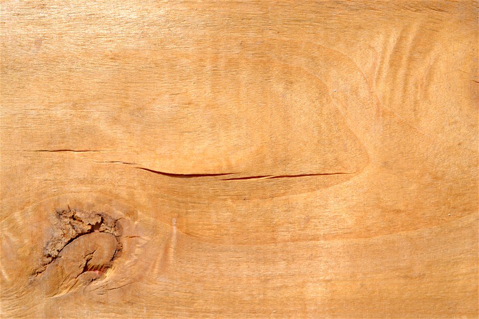 Texture