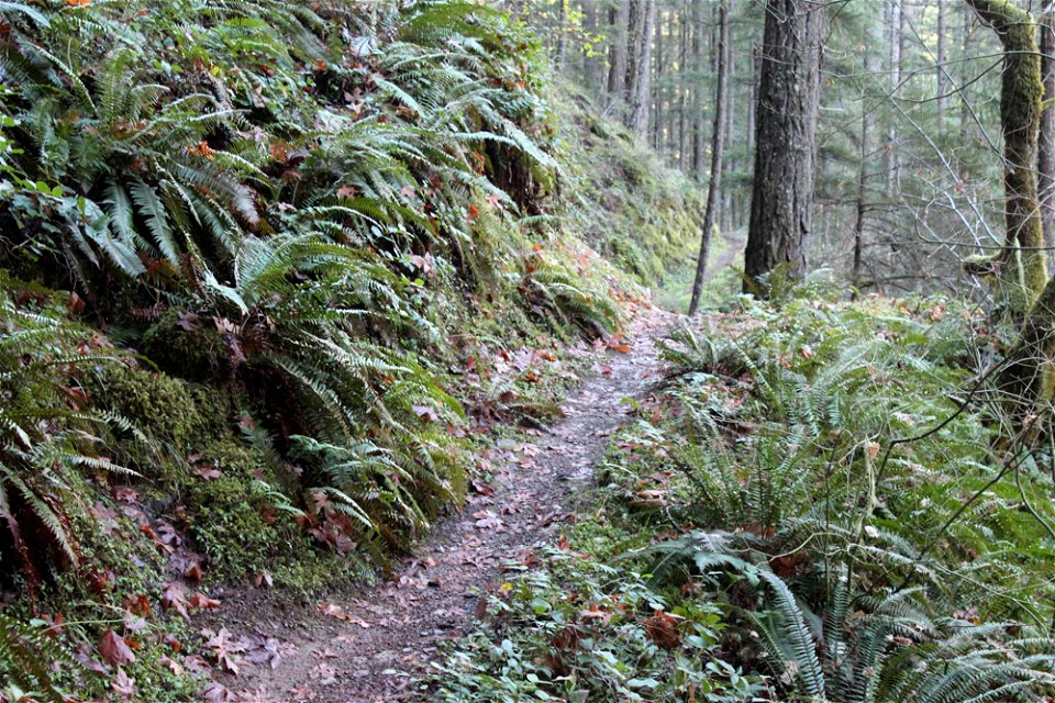 img_2244_trail35jpg_49364729832_o