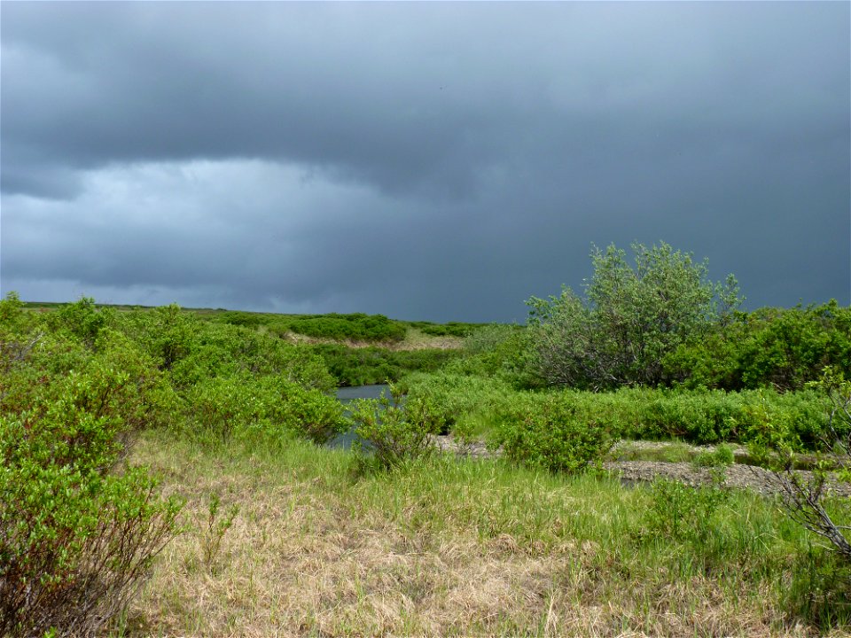 Andreafsky Wilderness