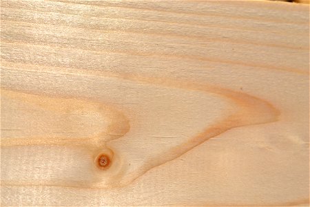 Wood photo