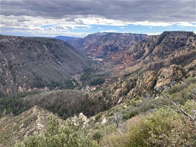 A.B. Young Trail photo