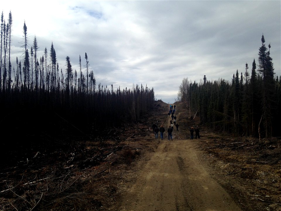 Funny River Fire Recovery 2015