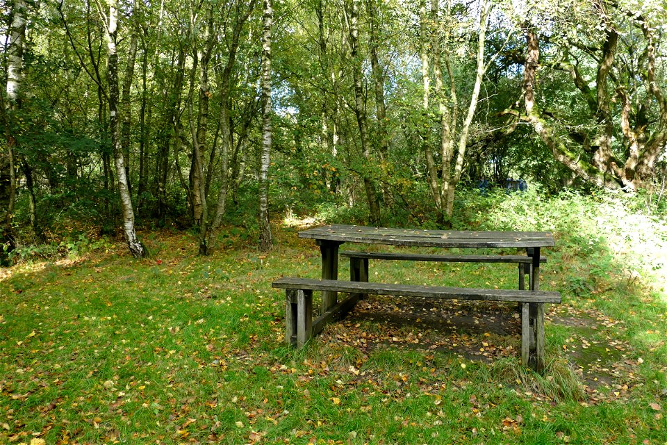 Picnic Area photo