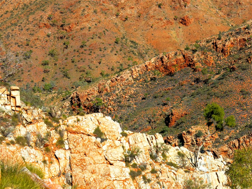 Between Birthday Waterhole and Hugh Gorge (section 5)