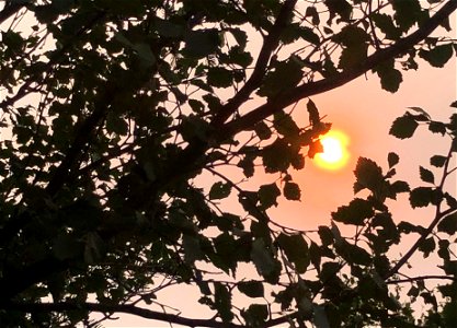Fiery Sunset