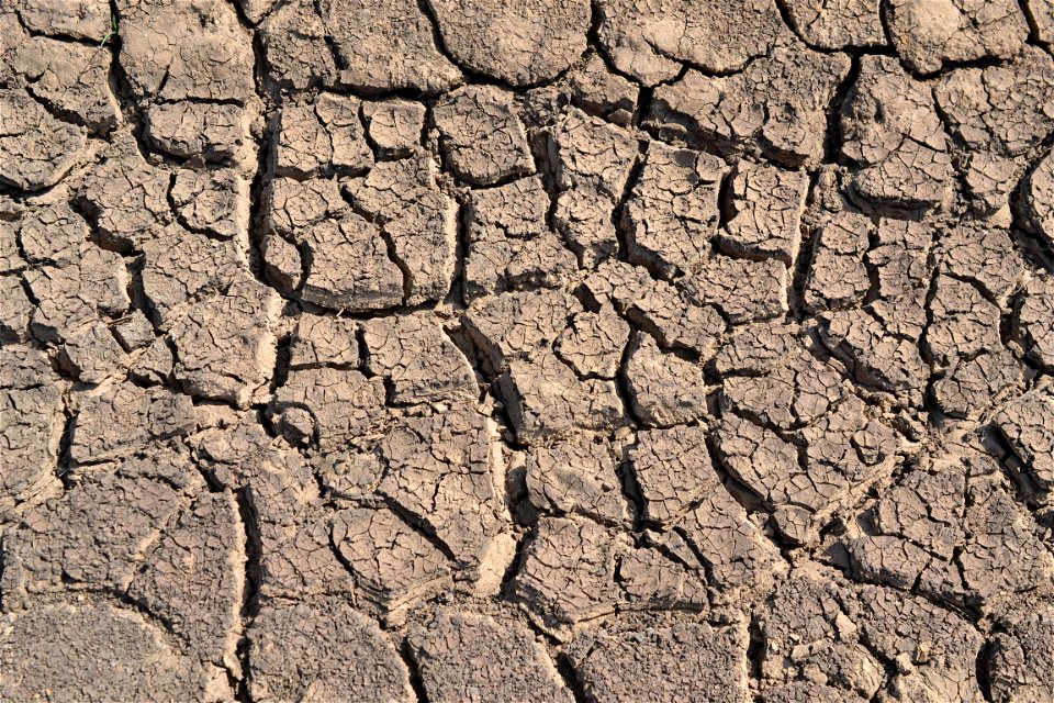 Free textures with cracks