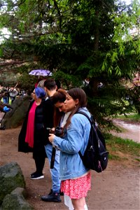japanes_garden_rain_Herastrau (119)