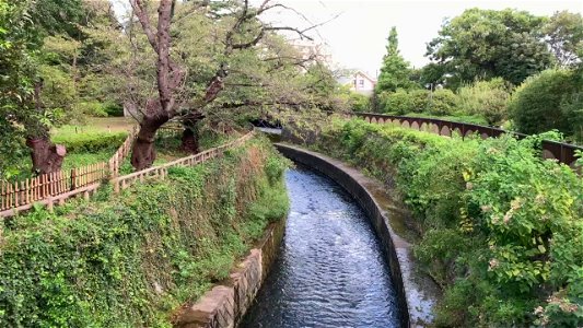 Myoshoji River in Matsugaoka, Nakano-ku photo