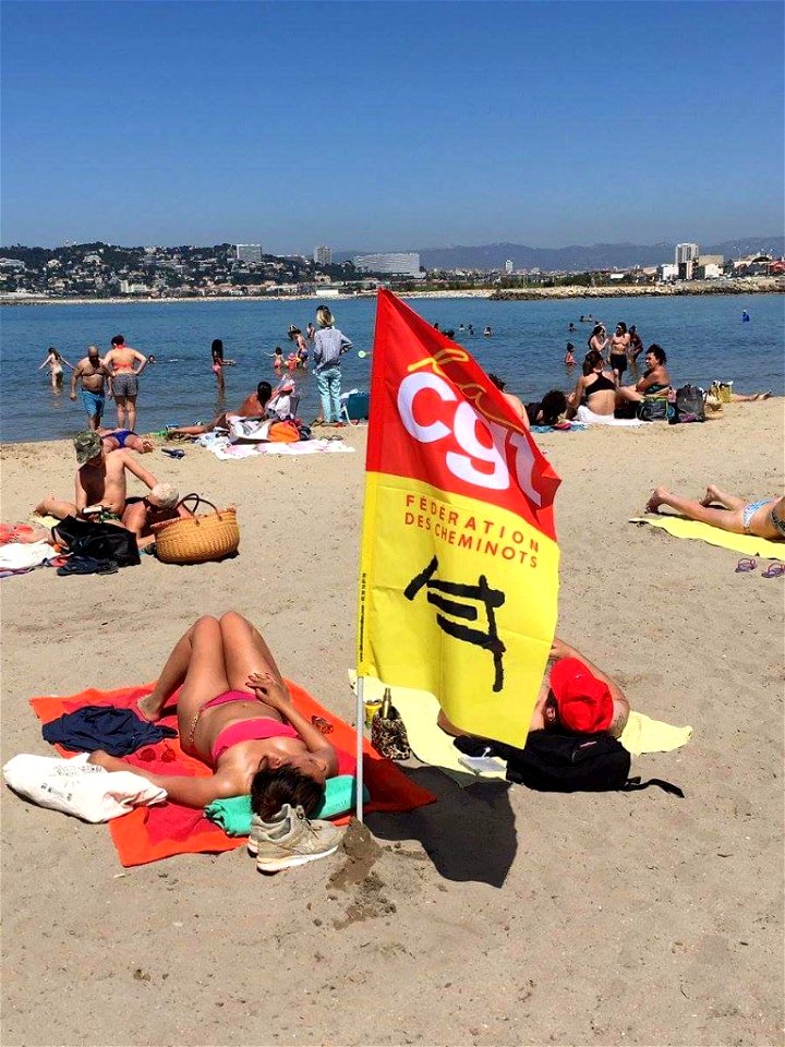 Tanning before social fighting