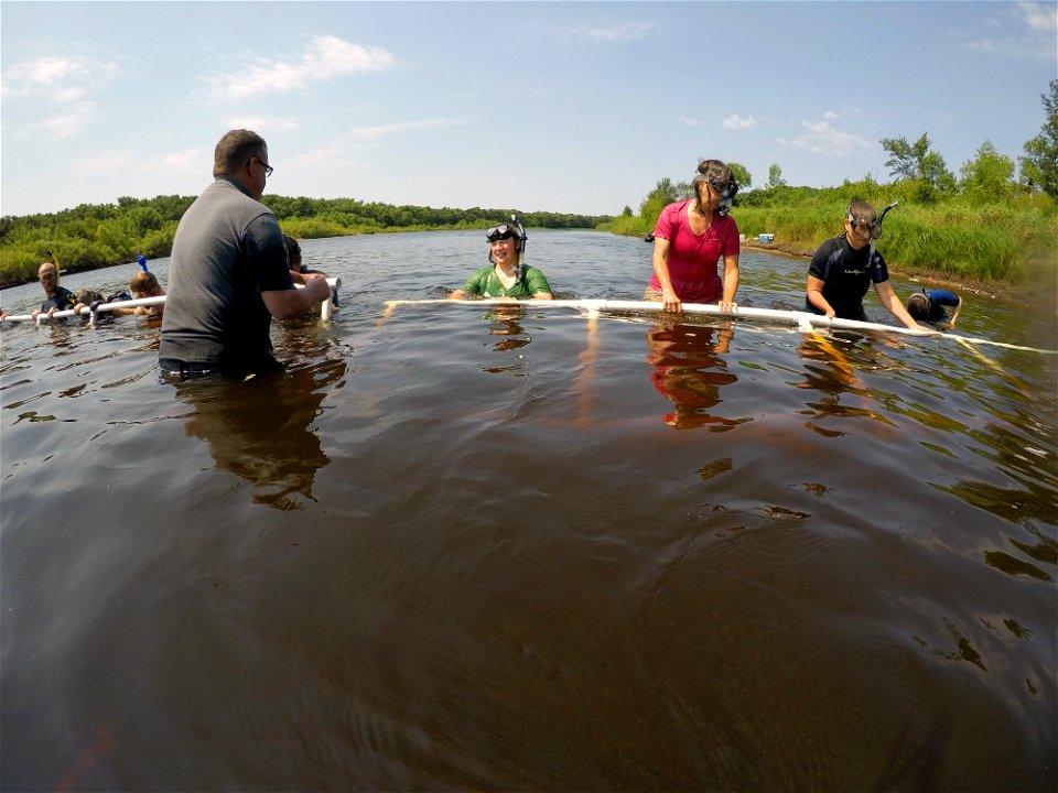 Quadrants for Mussel Release photo