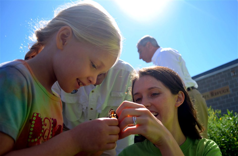 Working together to tag monarch butterflies photo