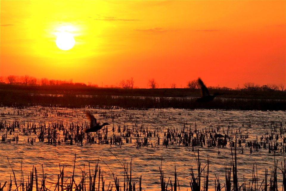Sunset at Huron Wetland Management District South Dakota