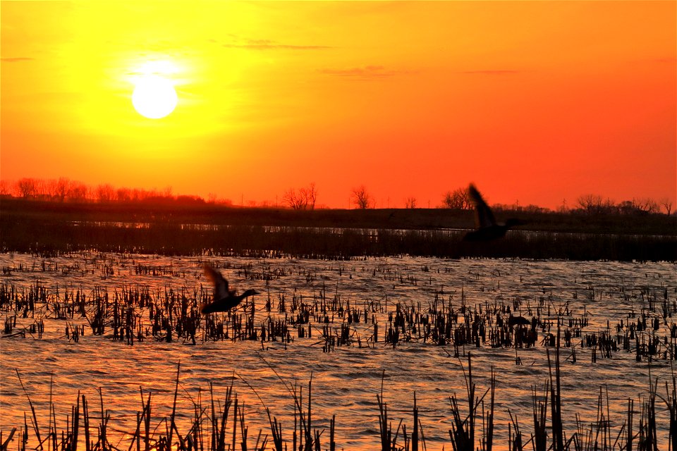 Sunset at Huron Wetland Management District South Dakota photo