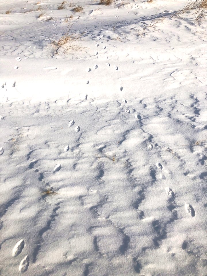 Converging Tracks