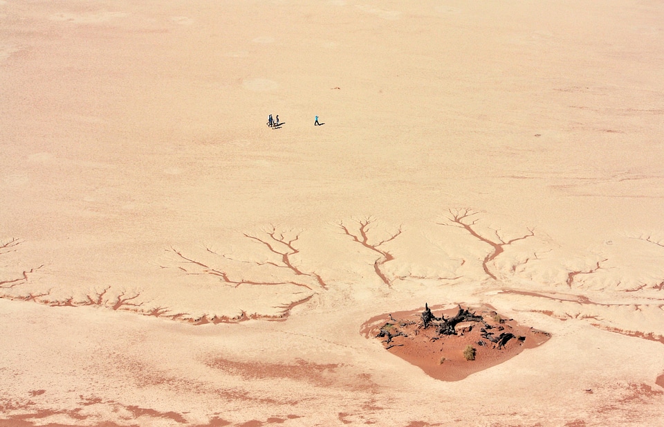 Landscape winter desert