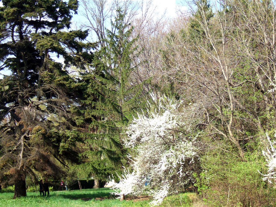 gradina botanica_123
