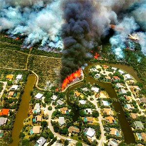 2021 USFWS Fire Employee Photo Contest Category: Fuels Management - Winner photo