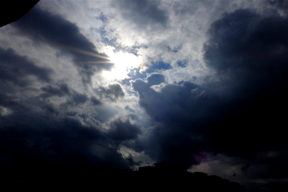 nori-Calea_vitan2014_1018_124733