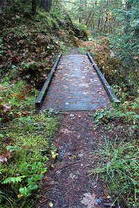 img_2011_trail-bridge1_west-approachjpg_49364040558_o