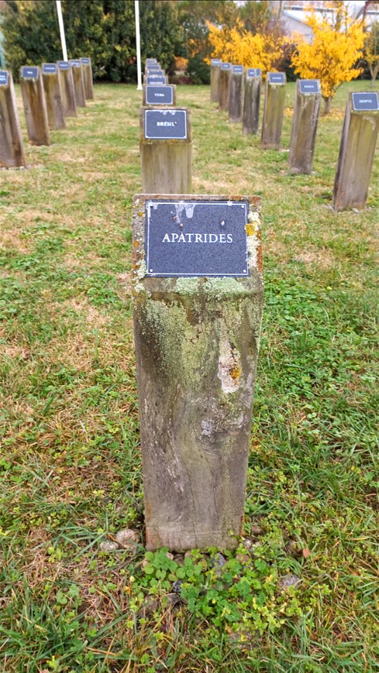 Cimetière du Camp du Vernet - Cemetery of the Vernet camp