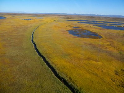 Look at that slough!!