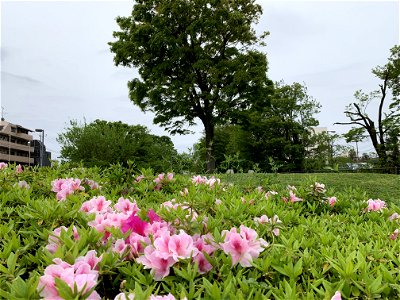 Shinyama Waterside Plaza in Higashikurume-shi