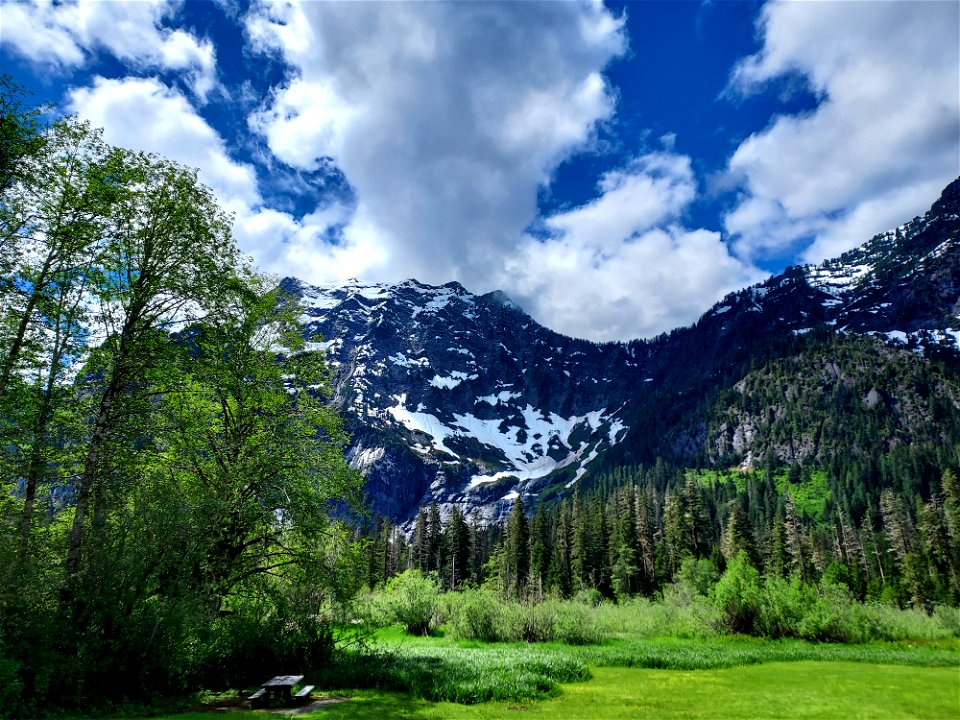 Big Four picnic area, Mt. Baker-Snoqualmie National Forest. Photo by Anne Vassar June 9, 2021.