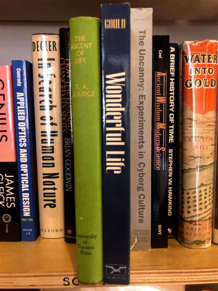 Brilliant Booktoposition