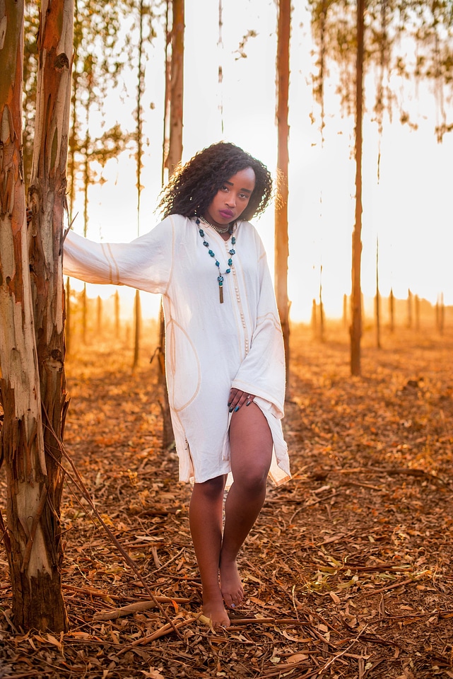 Woman portrait tree