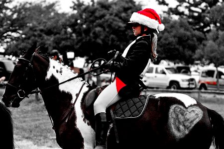 The girl in the Santa hat photo