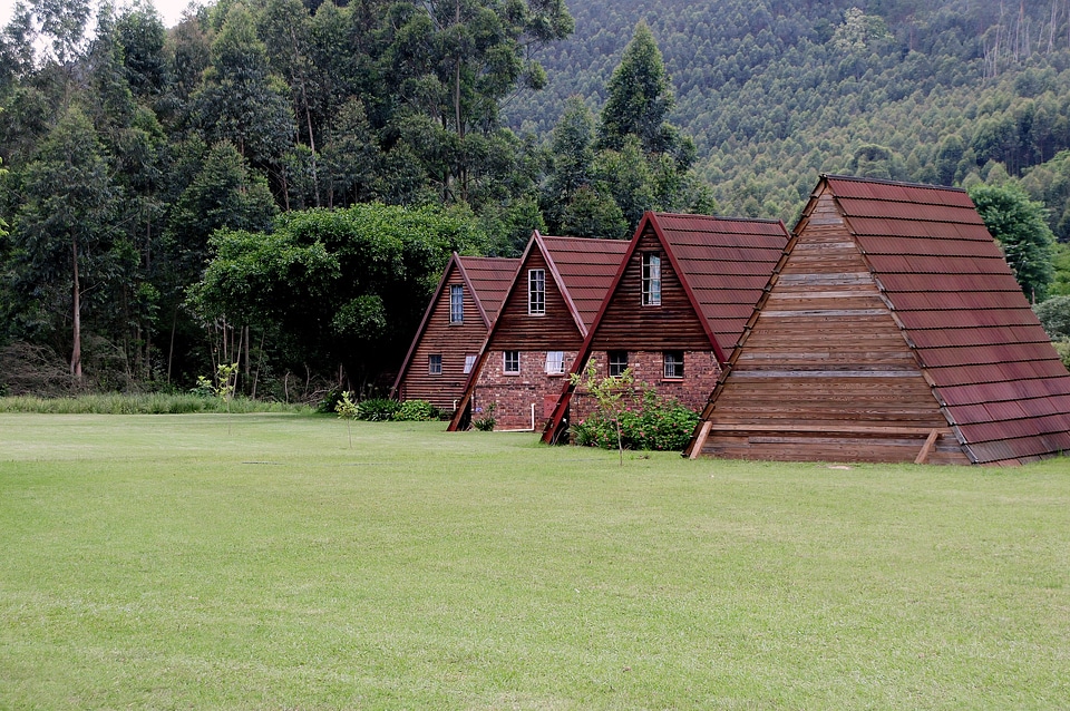 Wood south africa landscape
