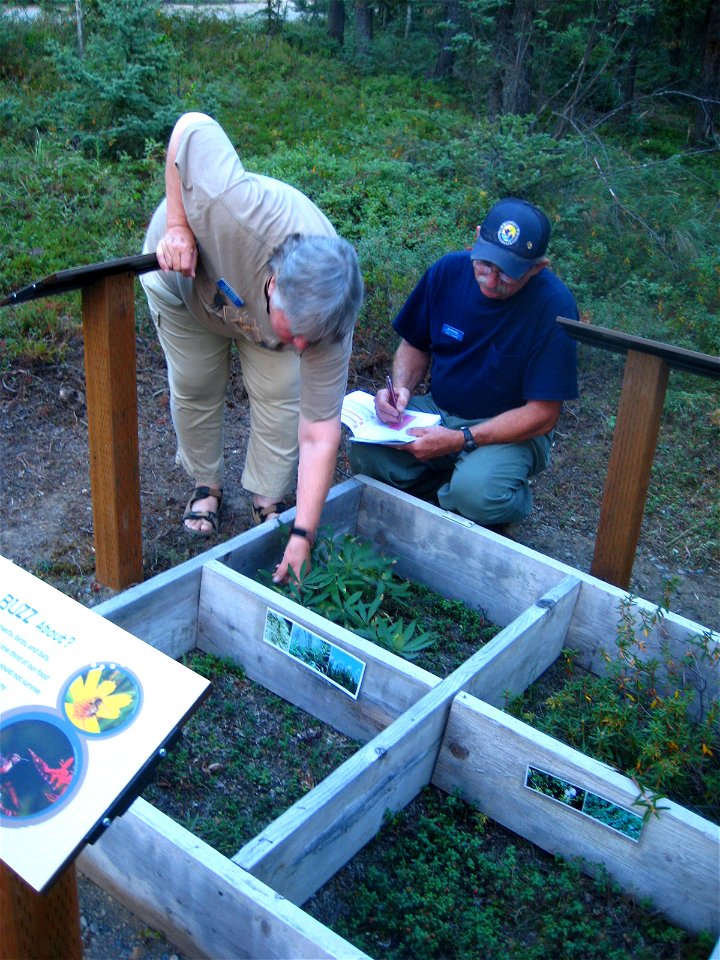 2013 Tetlin-Volunteer(05)