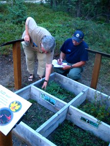 2013 Tetlin-Volunteer(05)