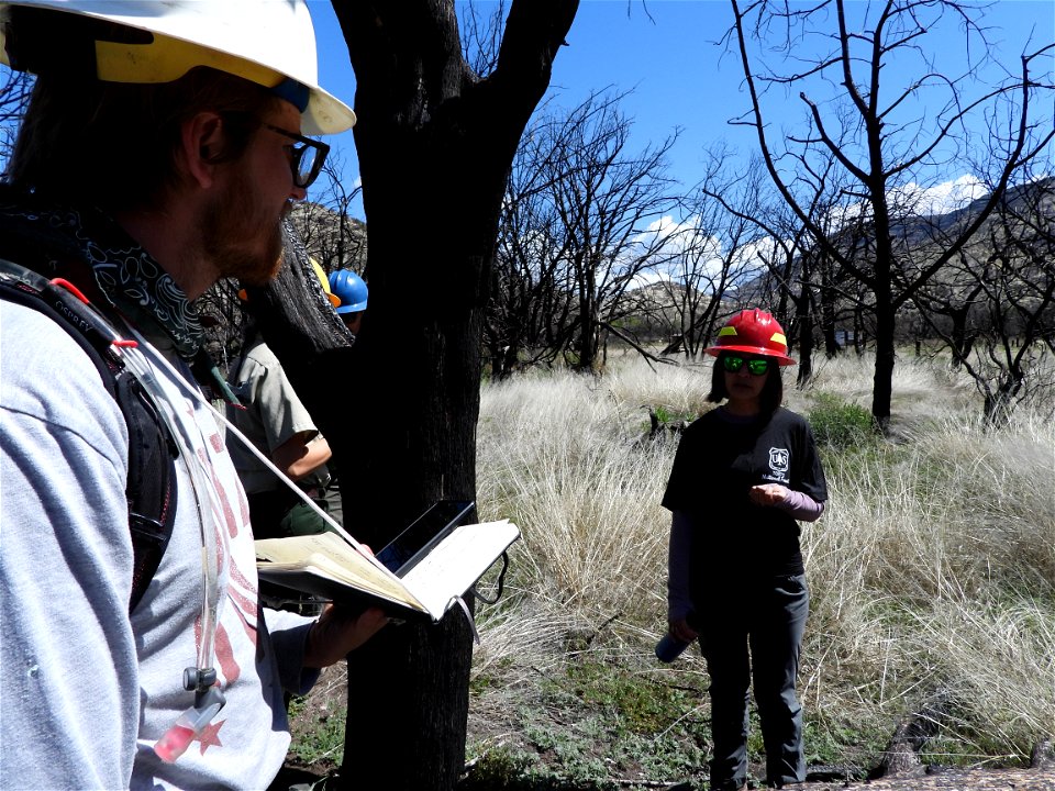 Fossil Creek Soil Monitoring photo