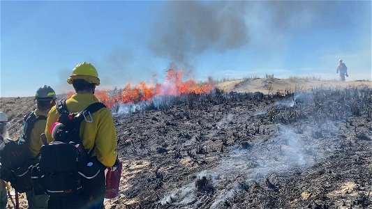 Siuslaw Oregon Dunes Prescribed Burn 2022 photo