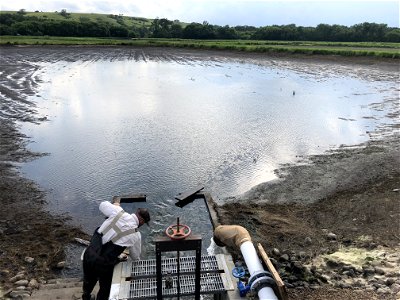 Draining a Hatchery Pond photo
