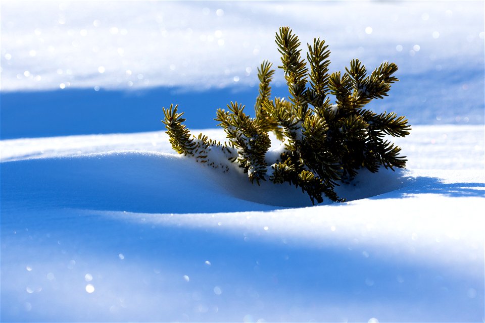 Textures of snow at Selawik National Wildlife Refuge