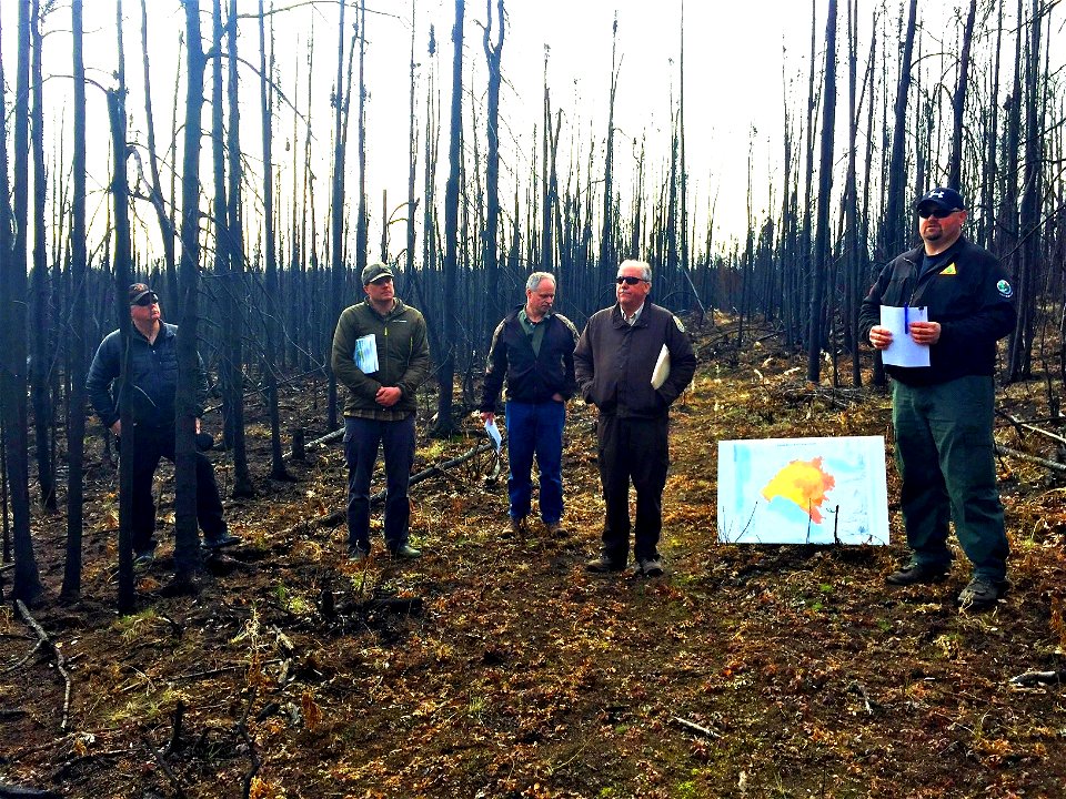 Funny River Fire Recovery 2015