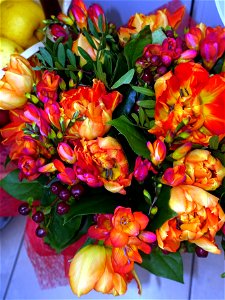 flori_flowers-wife-2023_0227_202444