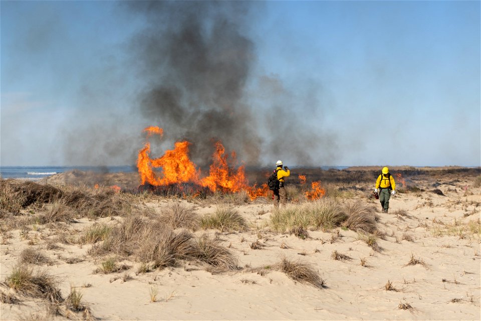 Siuslaw Oregon Dunes Prescribed Burn 2022