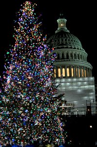 2022-1129-Capitol-ChristmasTree-Lighting-Ceremony-_260_ photo